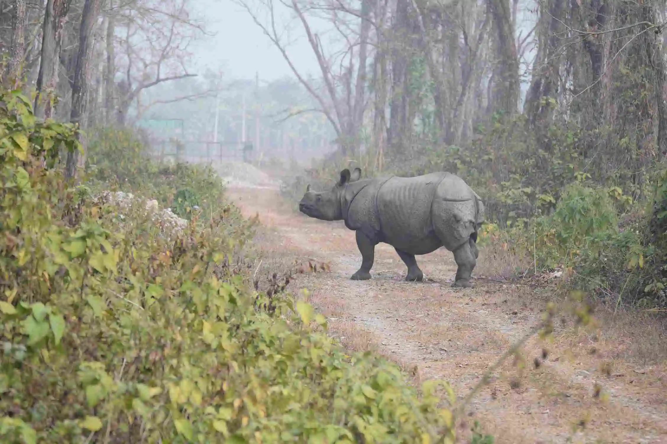 nepal tourist tips