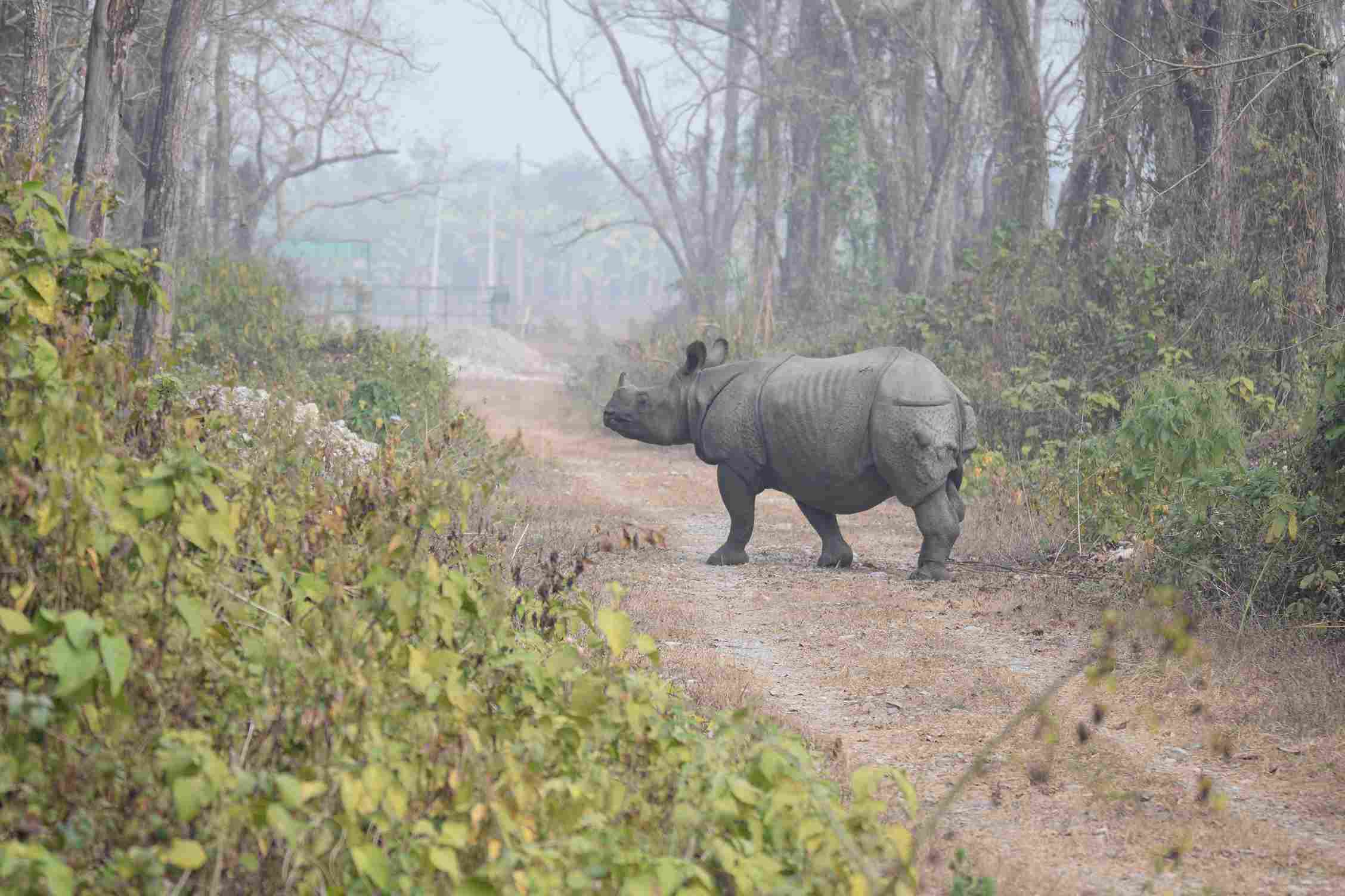 Chitwan National Park - Entrance