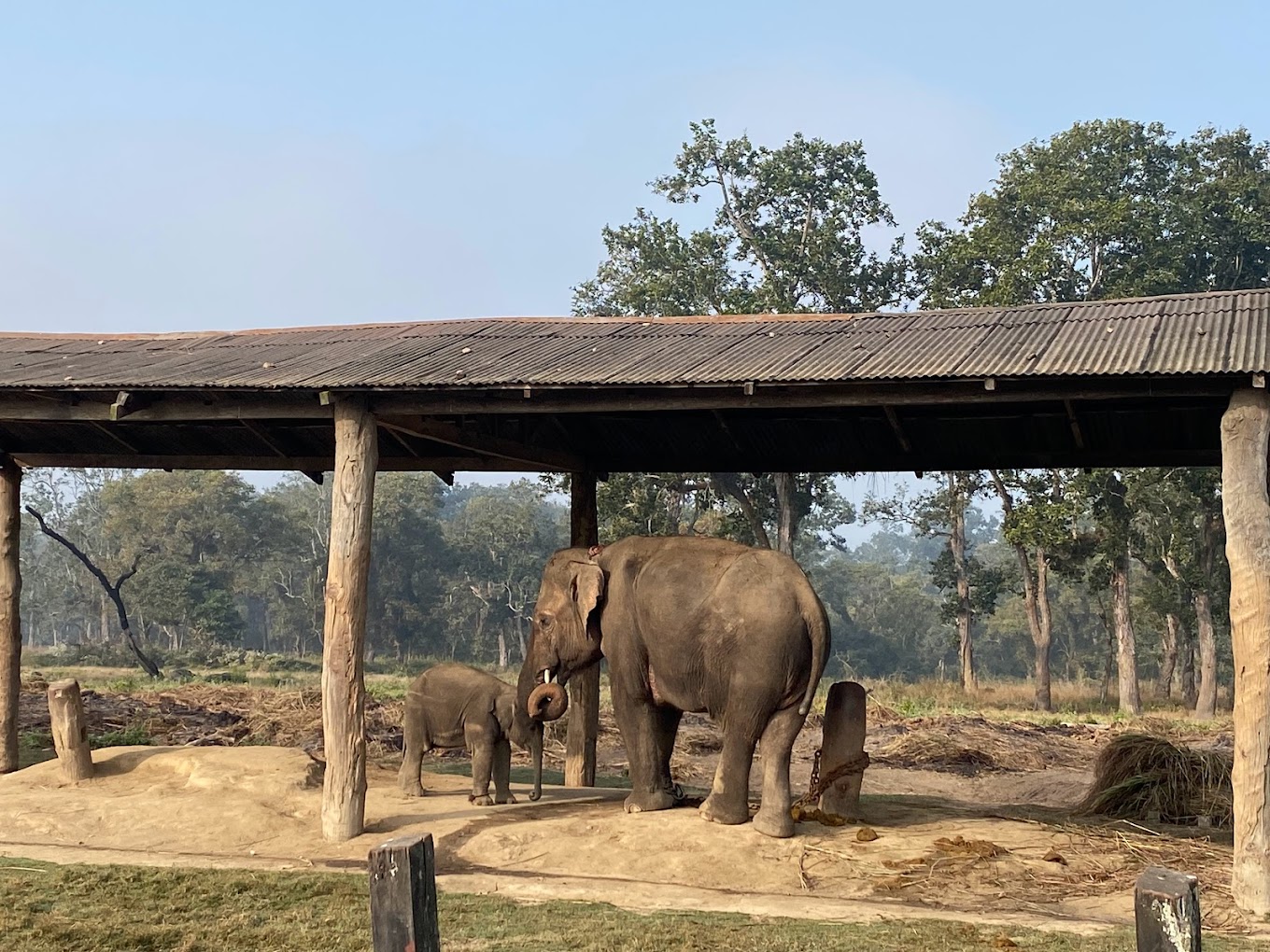 Elephant Breeding Center