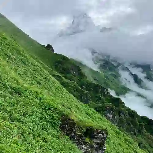 Experience the Untouched Beauty of the Mardi Himal Trek in Nepal