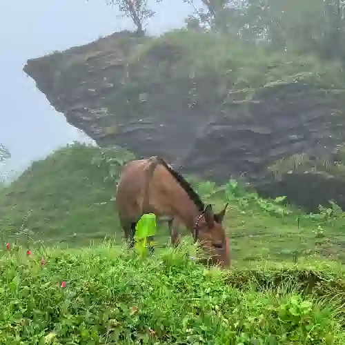 Mardi Himal Trek in Nepal - Stunning Mountain Views and Scenic Trails