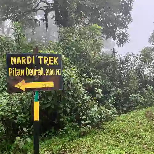 Hiking the Mardi Himal Trek - Majestic Peaks and Lush Forests in the Annapurna Region, Nepal